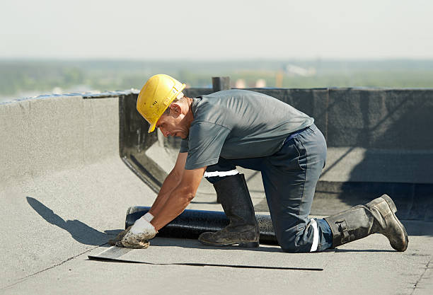 Best Attic Insulation Installation  in Beverly Hills, MI